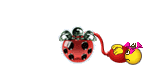 :spoil-the-air: